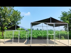 10x10x6ft استیل سگ Kennel گالوانیزه زنجیر لینک سگ دویدن Kennel