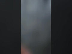 حصار تغذیه اسب