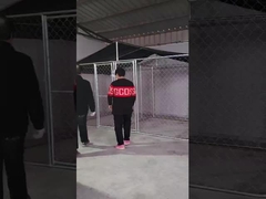 لانه سگ فولادی