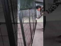 6ft ارتفاع جوشکاری فولاد سگ Kennel پودر پوشانده سگ ران خانه