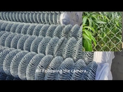 گالوانيزه شده برقي سيم الماس شبكه 2 اينچ زنجير پيوند مزرعه حصار