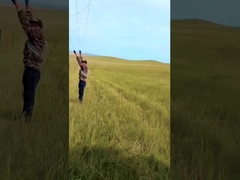 پنل گالوانیزه گالوانیزه گوسفند سد گرم 8 فوت ارتفاع ثابت گره گوزن سیم میش سد