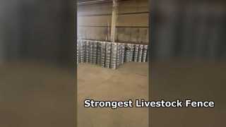 حصار قوی دام برای اسب گاو