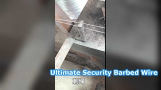 حصار امنیتی 25 کیلوگرمی سیم خاردار گالوانیزه