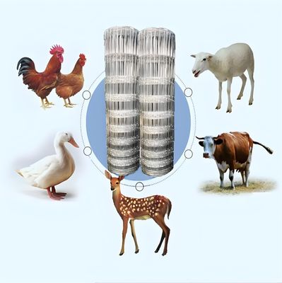 2.0MM مقاومت کششی بالا سیم گالوانیزه مزرعه گاو حصار برای سبزیجات باغ شبکه سطح درمان