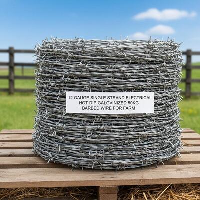 12 Gauge Hot Dip Galvanized 50kg Razor Barbed Wire for Farm Security